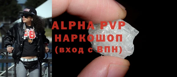 СК Алексин