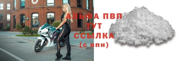 СК Алексин