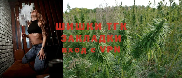 СК Алексин