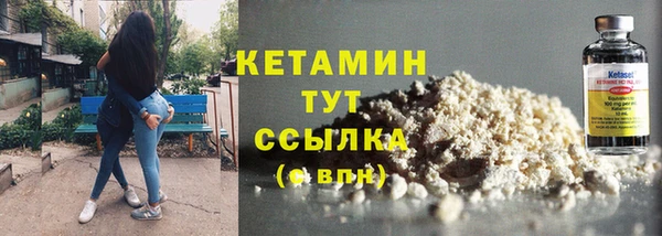 СК Алексин