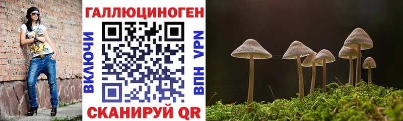 продажа наркотиков Ленинск-Кузнецкий Галлюциногенные грибы GOLDEN TEACHER
