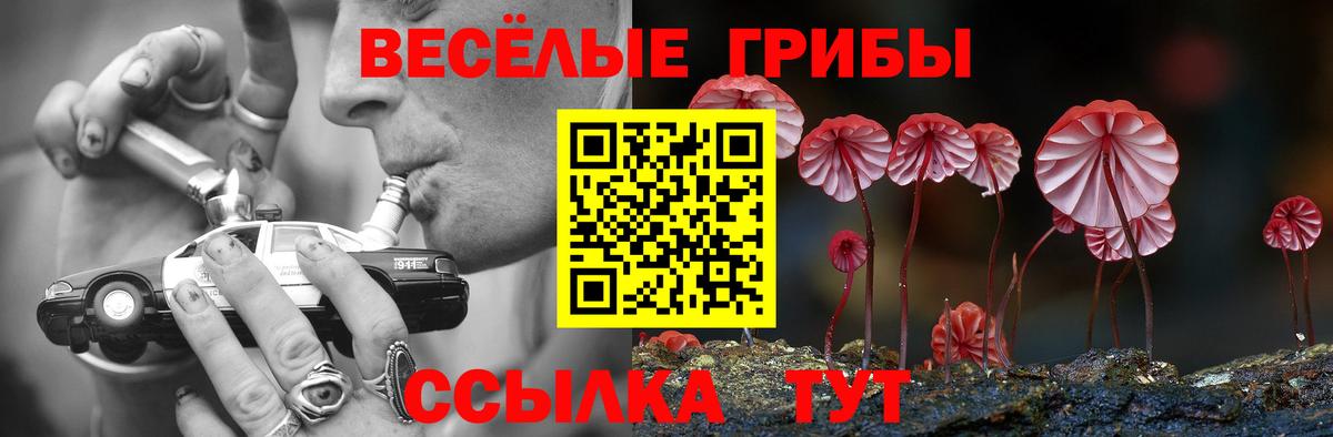Галлюциногенные грибы Magic Shrooms Ленинск-Кузнецкий